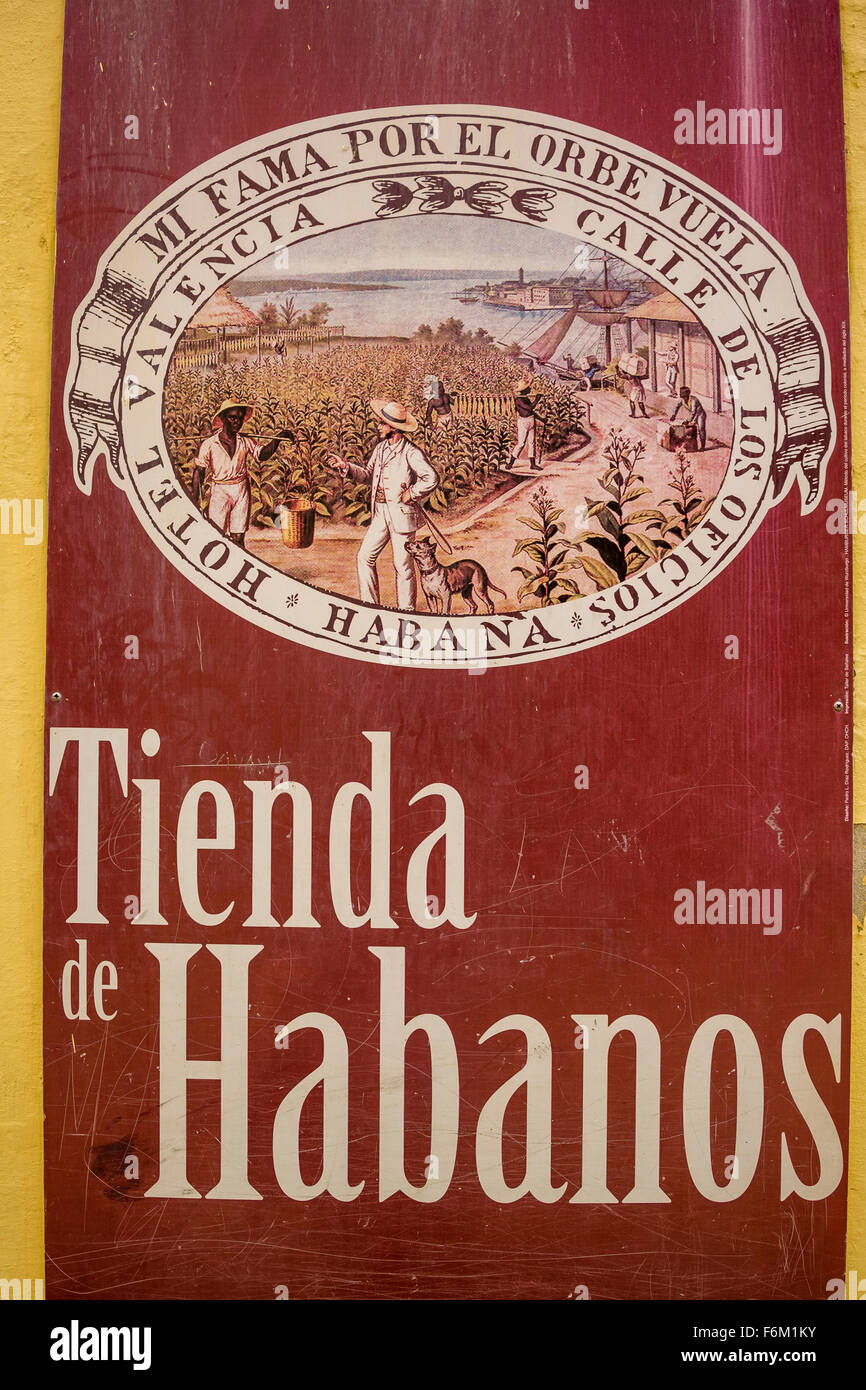 Affiches du tabac en face d'un cigare cubain des affaires, affiche publicitaire, publicité pour les cigares dans un magasin de cigares cubains Banque D'Images