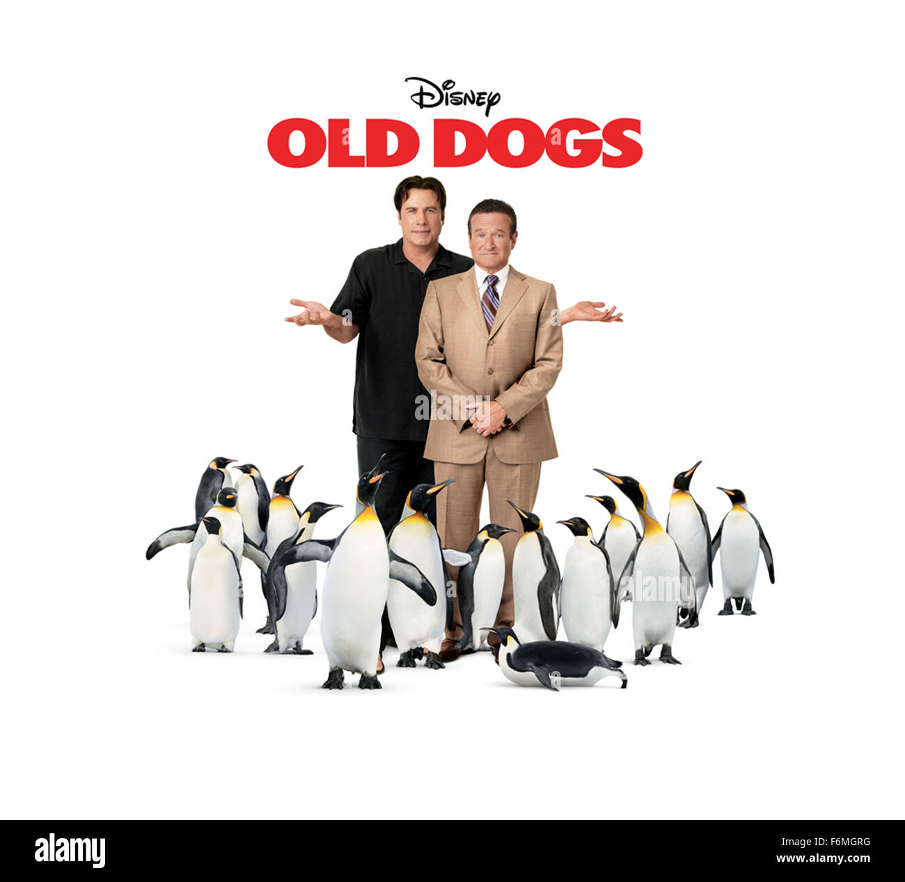 DATE DE SORTIE : Novembre 25, 2009. Titre du film : vieux chiens. STUDIO : Walt Disney Pictures. Résumé : Charlie et Dan ont été meilleurs amis et partenaires d'affaires depuis 30 ans ; leur firme de relations publiques de Manhattan est au bord d'une énorme entreprise face à une société japonaise. Avec deux semaines de coudre jusqu'au contrat, Dan est une surprise : il a épousé une femme sur une impulsion d'ivresse près de neuf ans avant (a annulé le jour suivant) montre jusqu'à lui dire qu'il est le père de ses jumeaux, maintenant sept, et elle va être en prison pour 14 jours pour une manifestation politique. Dan les bénévoles pour garder les tykes, bien qu'il n'est gros Banque D'Images