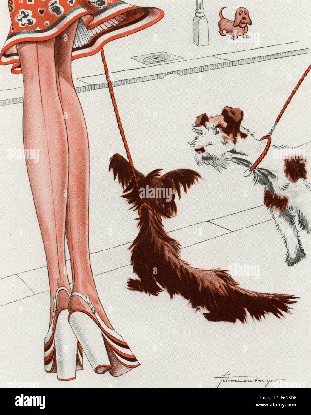 Illustrations satiriques allemand 1950 : les chevilles d'une femme et deux chiens Banque D'Images