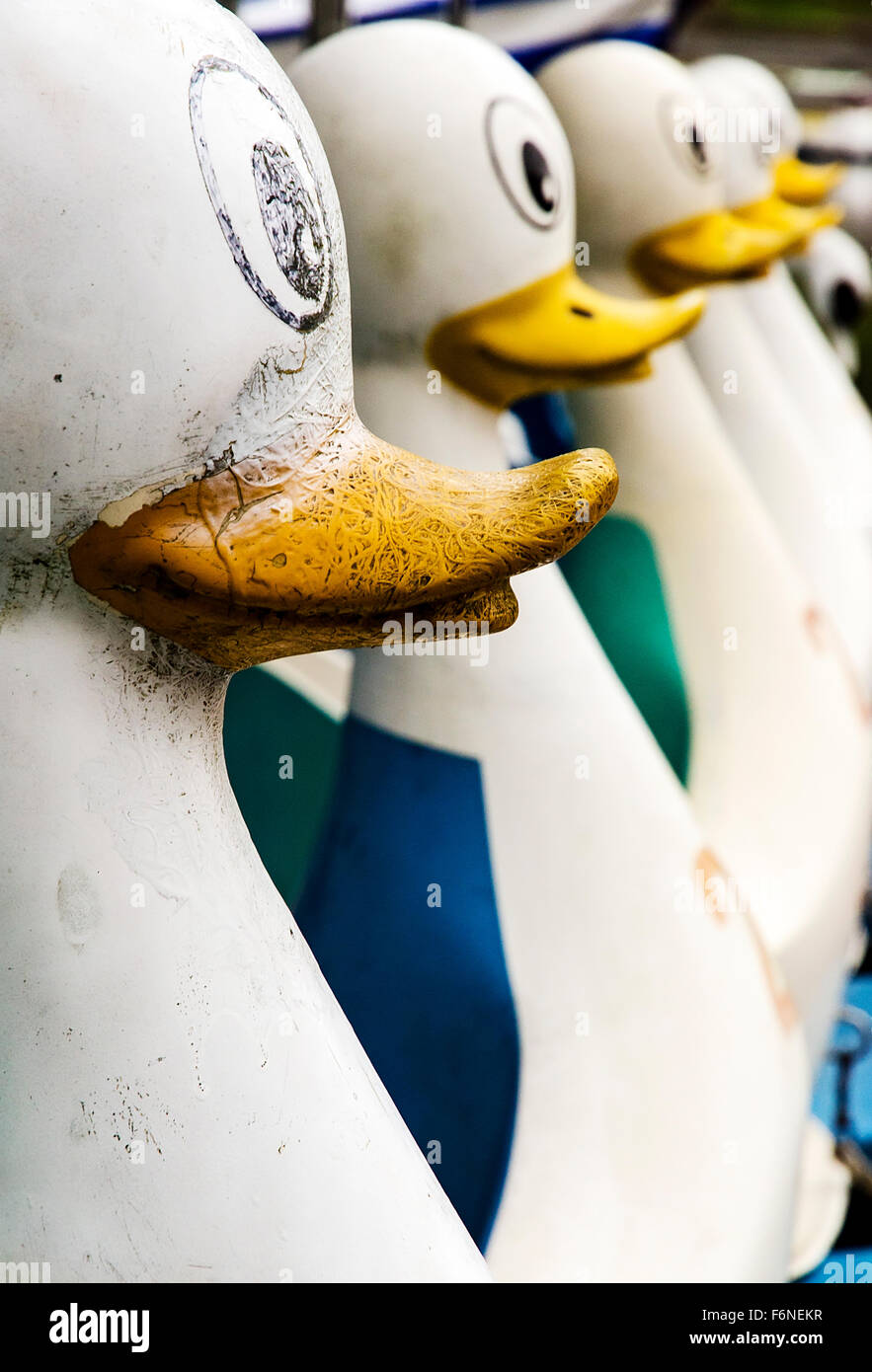 Une rangée de bateaux d'eau traditionnel en forme de canards Banque D'Images