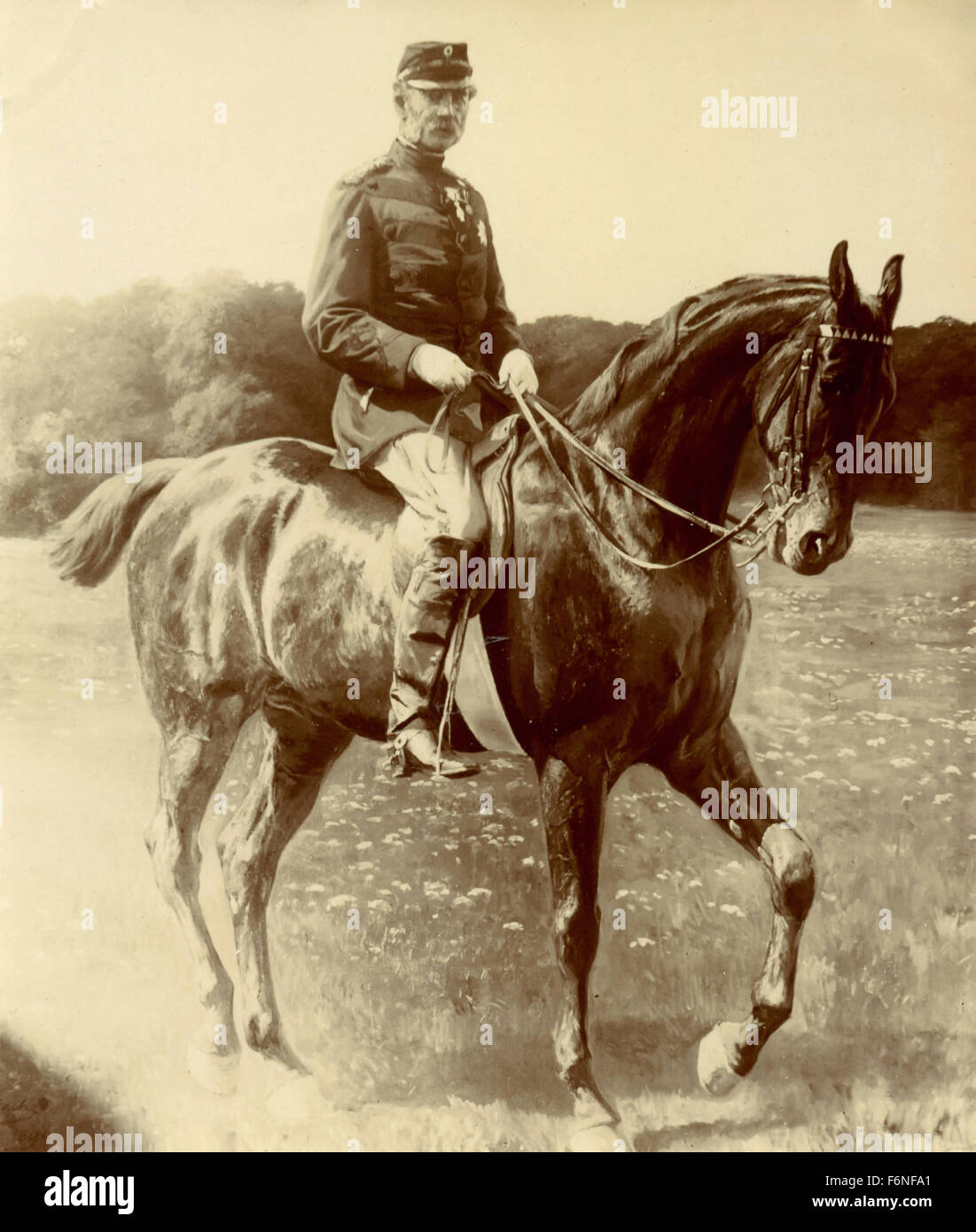 Officier de cavalerie, Danemark Banque D'Images