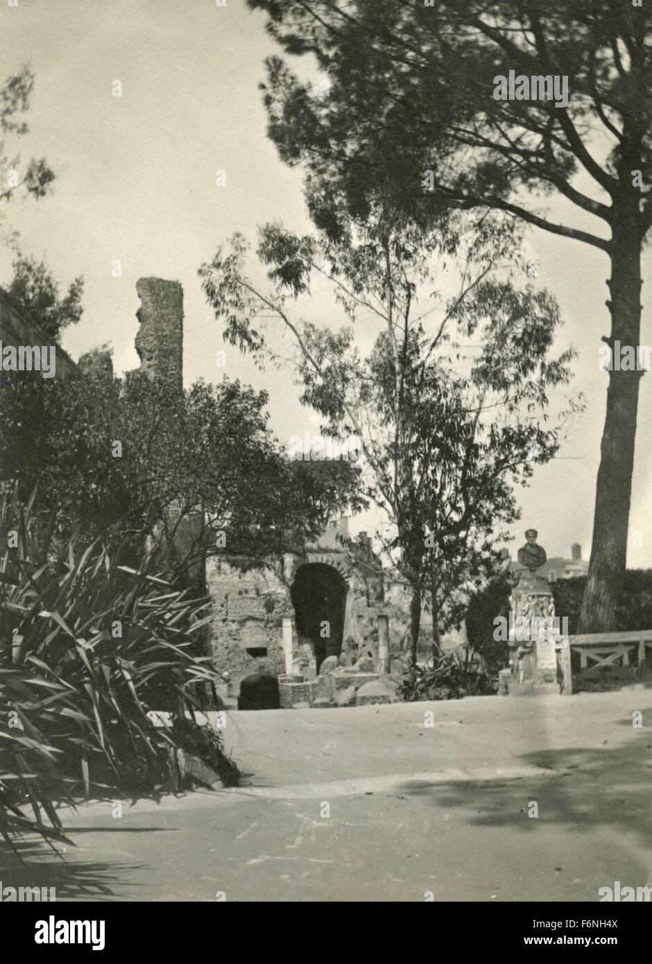 The Palatine Hill Rome Banque De Photographies Et D images Haute the-palatine-hill-rome-banque-de-photographies-et-d-images-haute