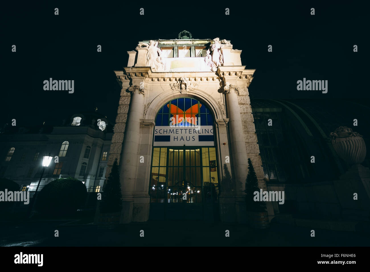 L'Schmetterlinghaus la nuit, à Vienne, Autriche. Banque D'Images