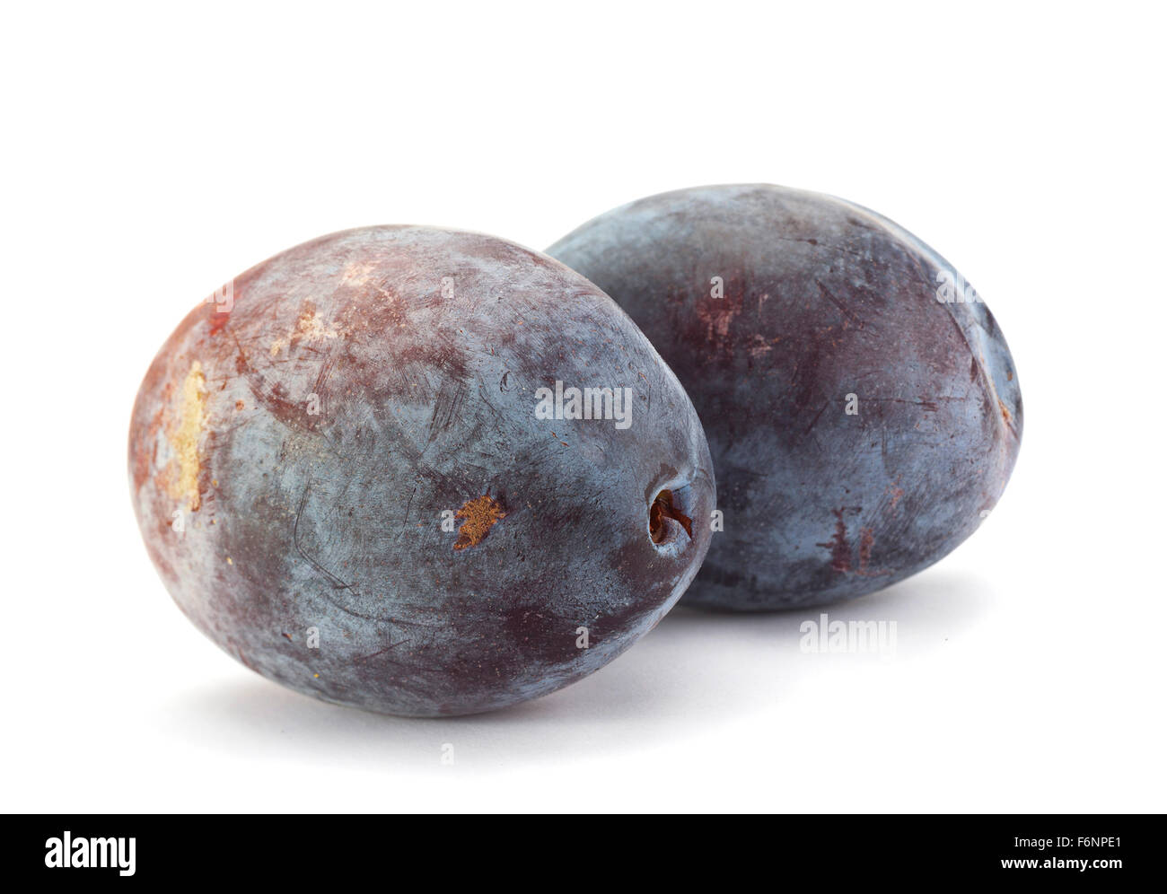 Gros plan prune isolated on white Banque D'Images