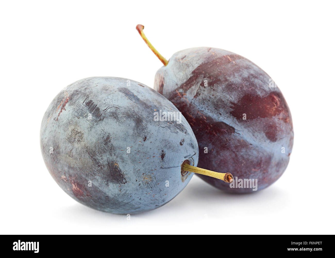 Gros plan prune isolated on white Banque D'Images