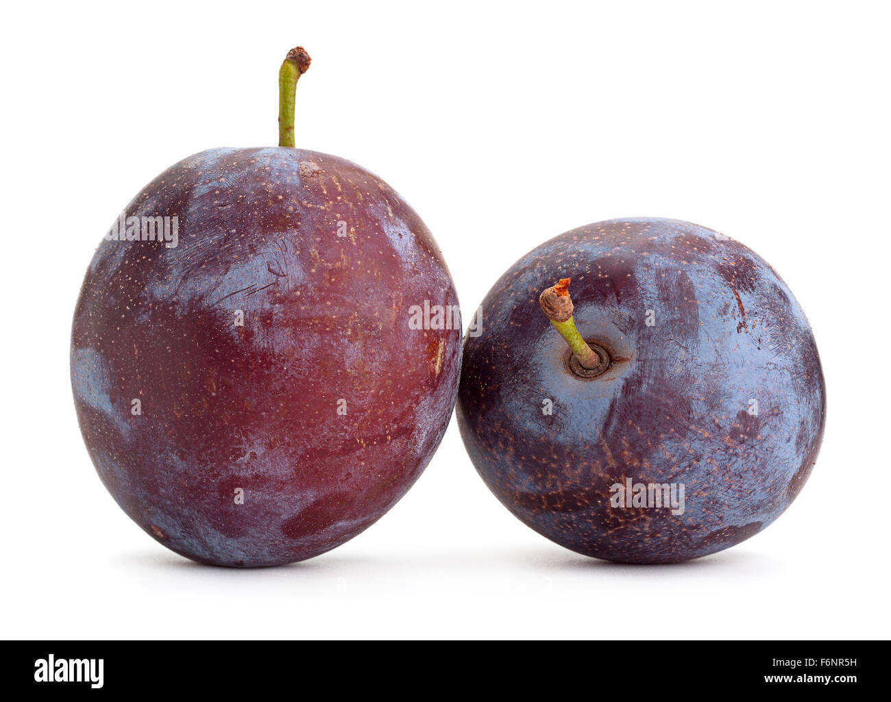 Prune isolé sur fond blanc Banque D'Images