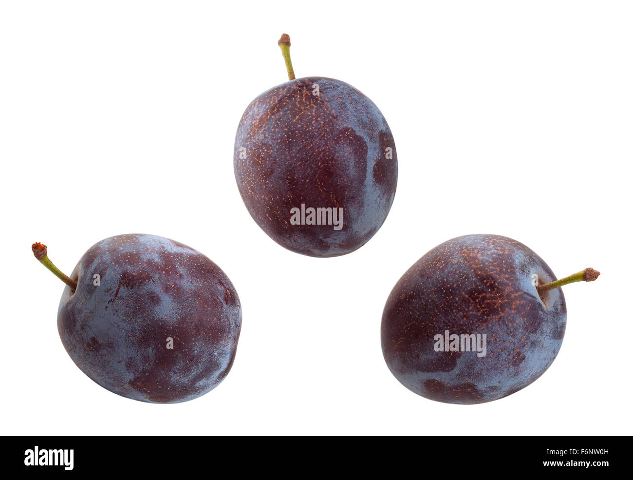 Prune isolé sur fond blanc Banque D'Images