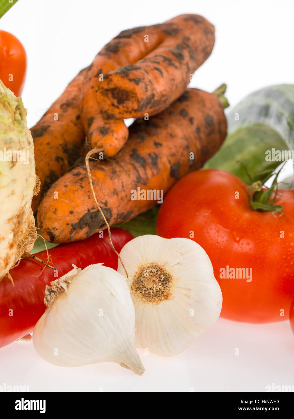 Une usine principale pour une bonne alimentation saine , l'ail cru tomate carotte Banque D'Images