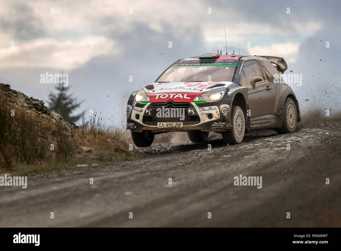 Kris Meeke et Paul Nagle, SS6 Myherin, Wales Rally GB 2015, WRC. 03 Citroën Total WRT Abu Dhabi, DS3 WRC, Action Banque D'Images