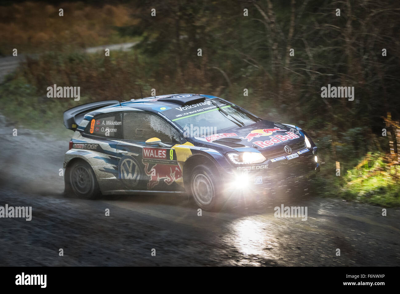 Andreas Mikkelsen & Ola Fløene sur SS8 Dyfi, Wales Rally GB 2015, WRC. 01 Volkswagen Polo R WRC WRT, Action, Banque D'Images
