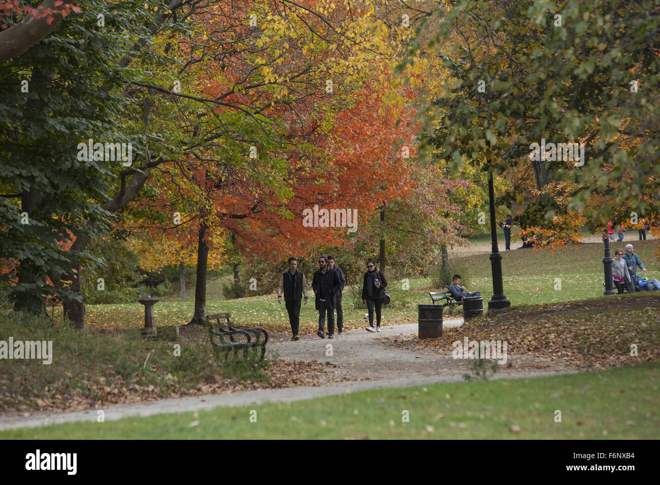 Couleurs d'automne dans la région de Prospect Park, Brooklyn, New York. Banque D'Images