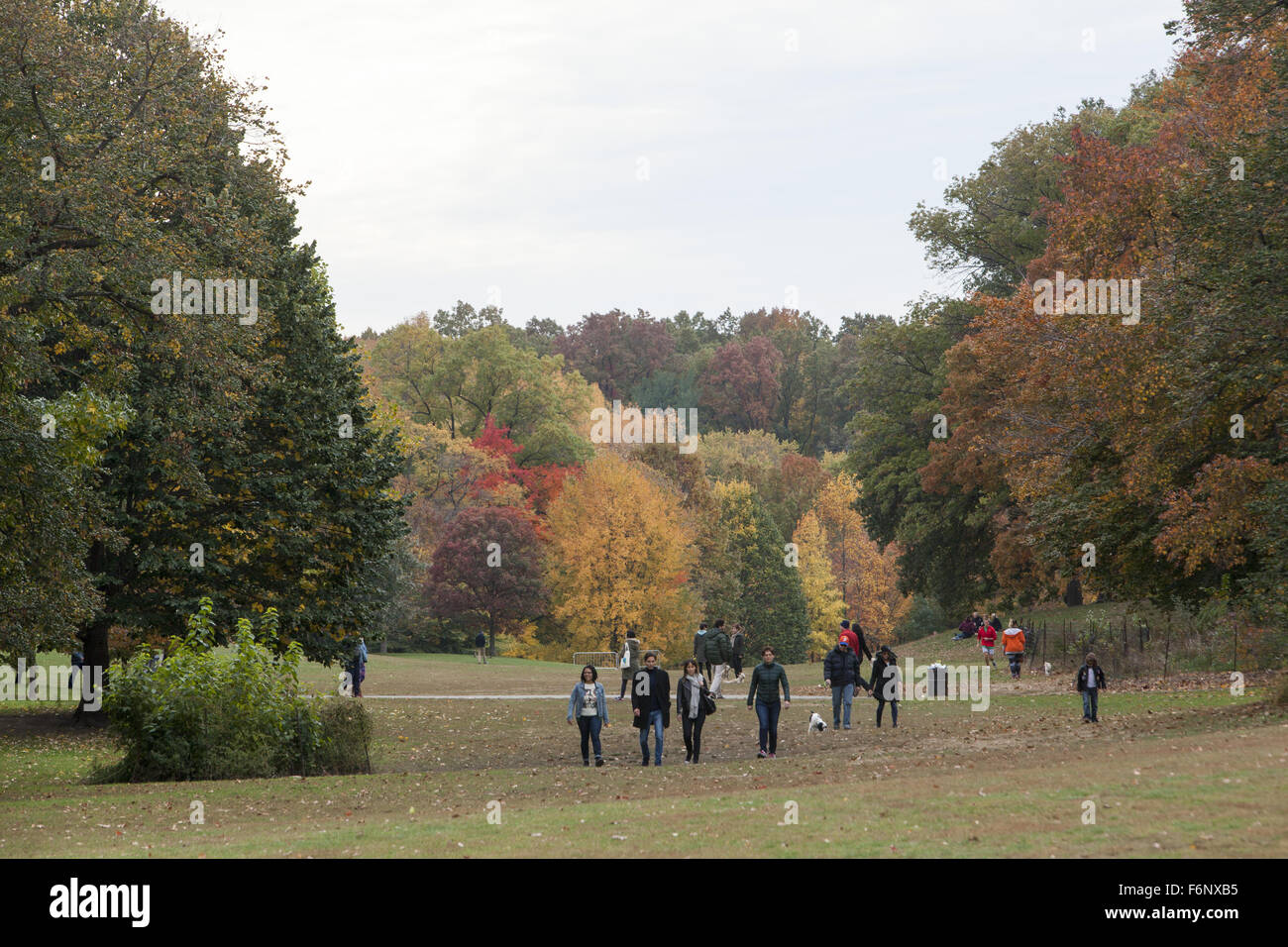 Couleurs d'automne dans la région de Prospect Park, Brooklyn, New York. Banque D'Images