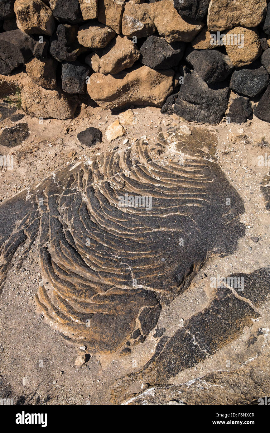 La pierre de lave pahoehoe sur un chemin d'Aldea Blanca à San Miguel, Tenerife, Canaries, Espagne, Banque D'Images