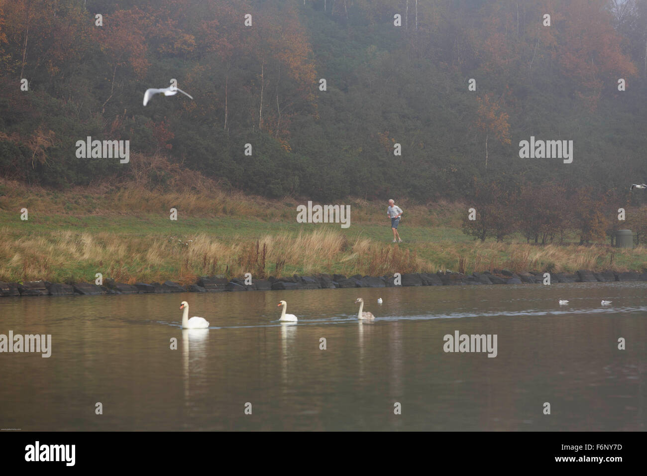 Un jogger marche autour du livre en Arthur Seat hill. Banque D'Images