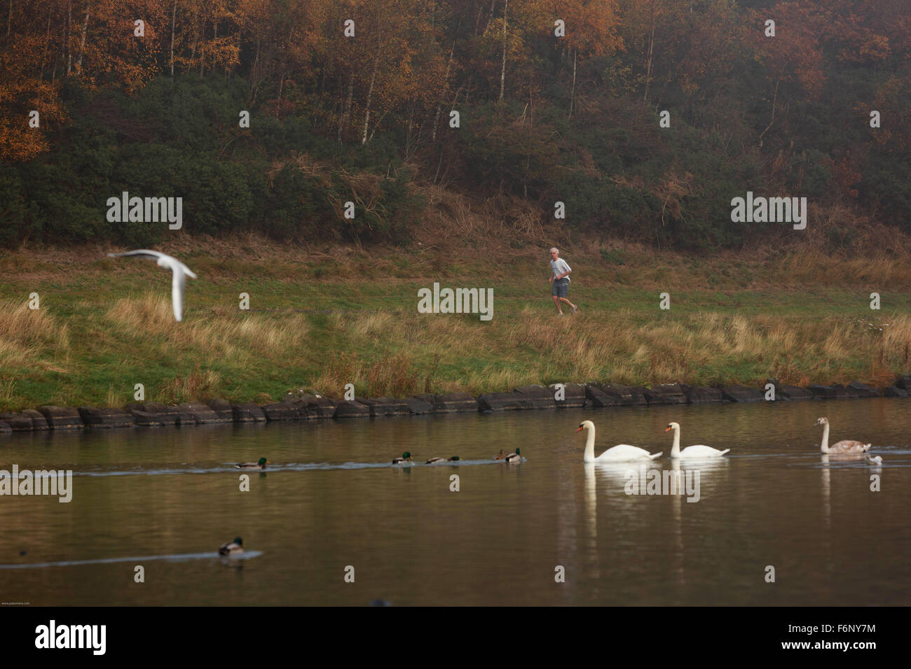 Un jogger marche autour du livre en Arthur Seat hill. Banque D'Images