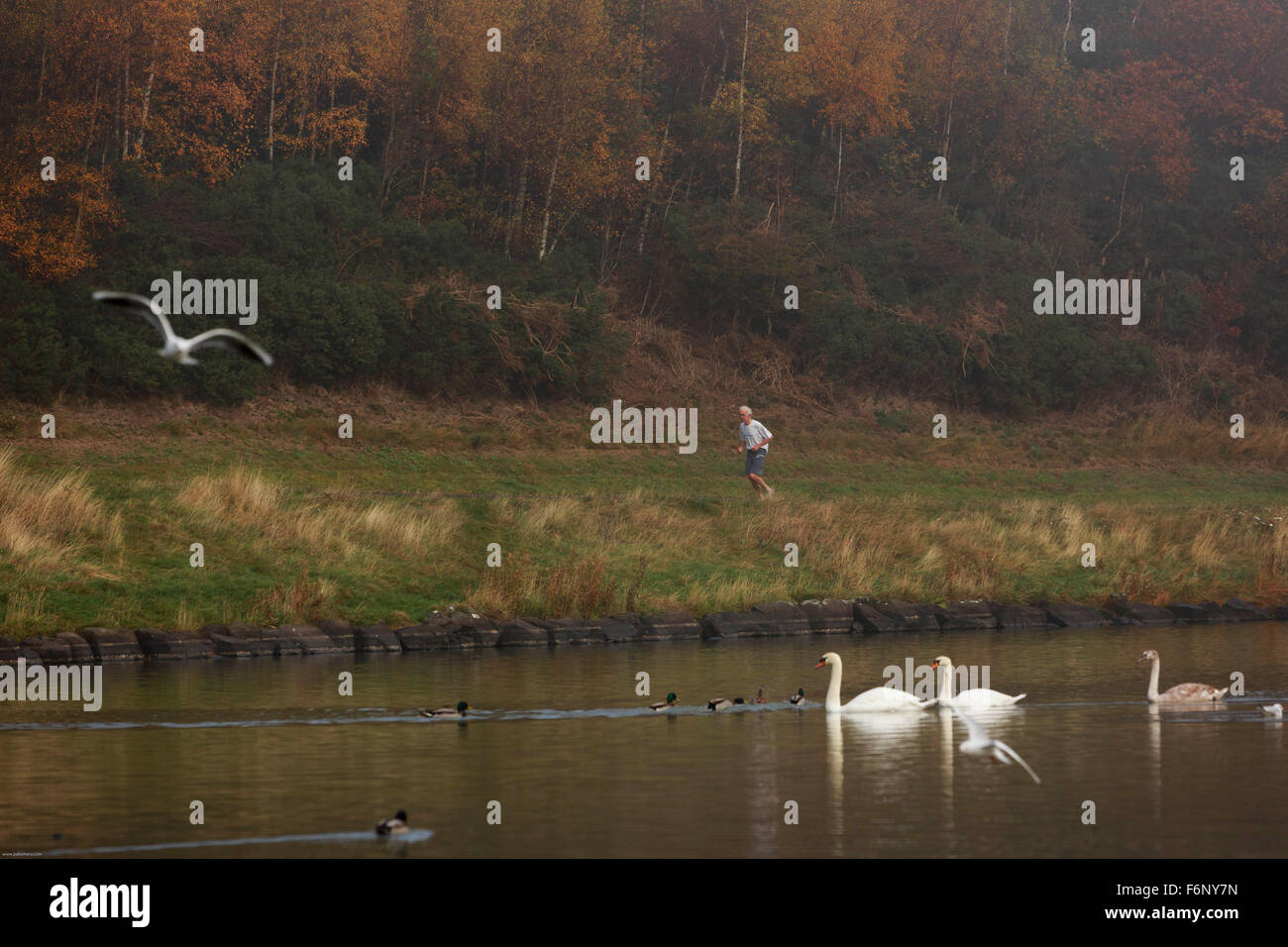 Un jogger marche autour du livre en Arthur Seat hill. Banque D'Images
