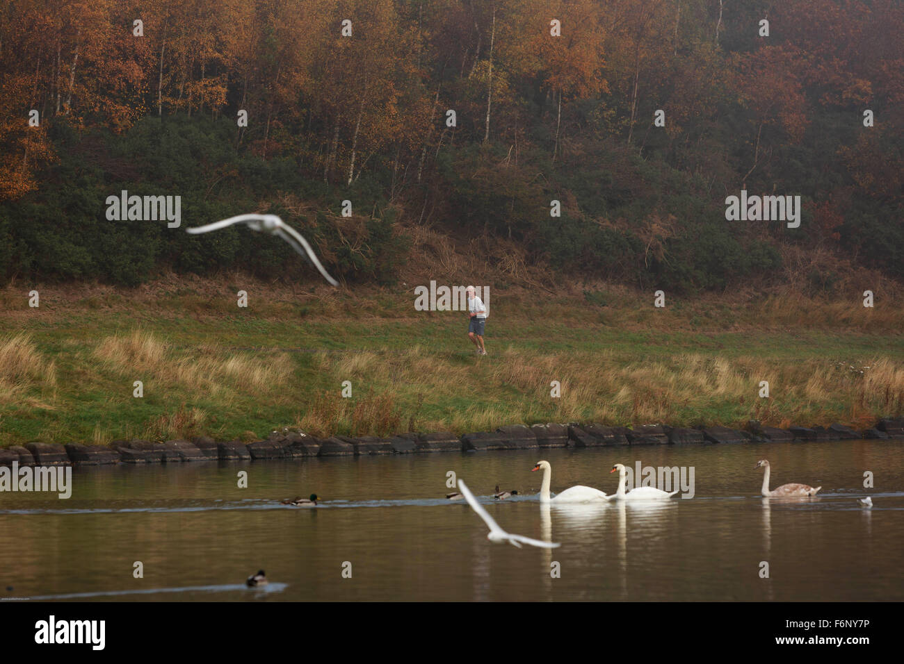 Un jogger marche autour du livre en Arthur Seat hill. Banque D'Images