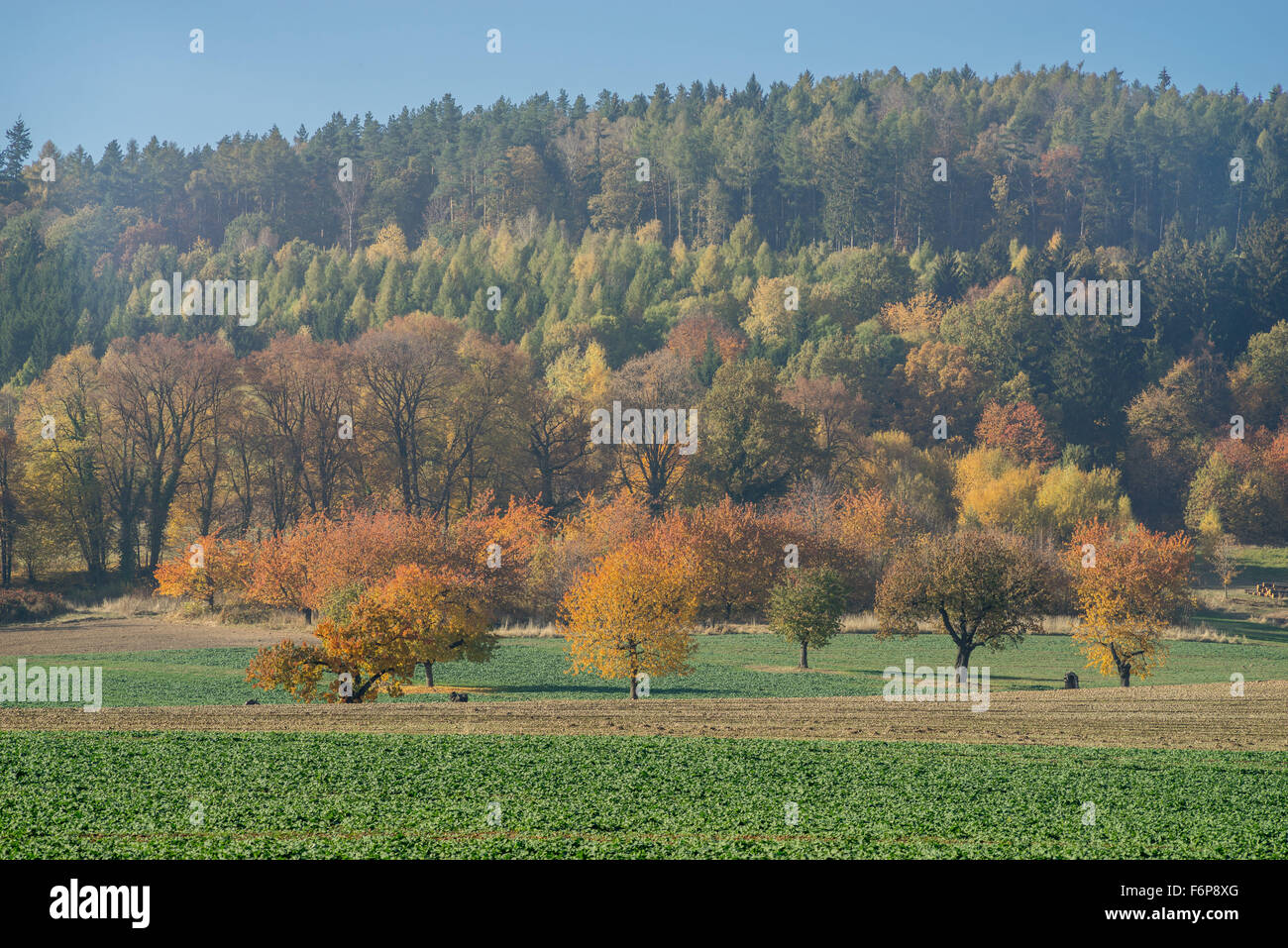 Paysage d'automne ensoleillé brumeux colorées Basse Silésie Banque D'Images
