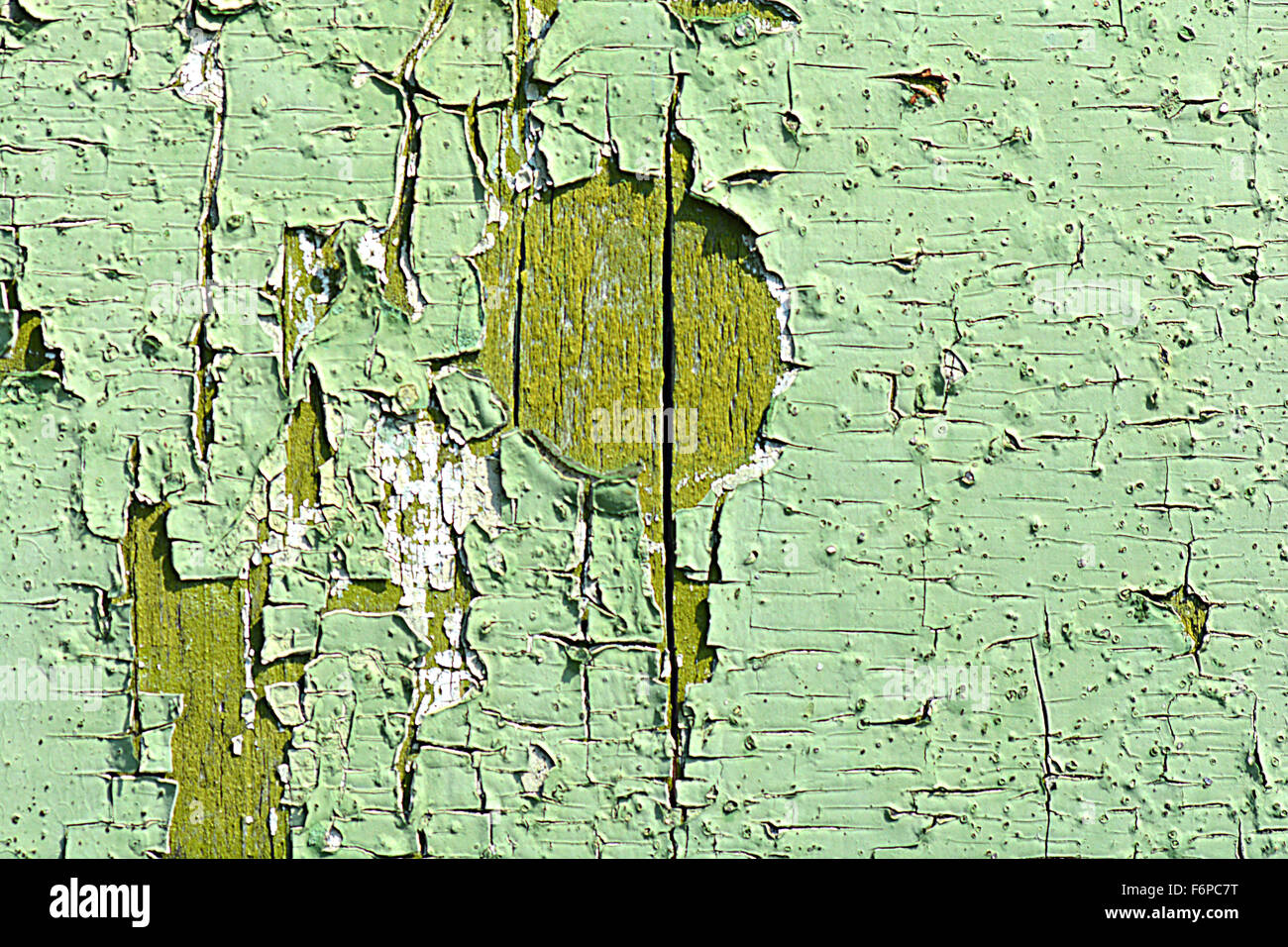 Fond de bois vert bois vert. old grunge background Banque D'Images