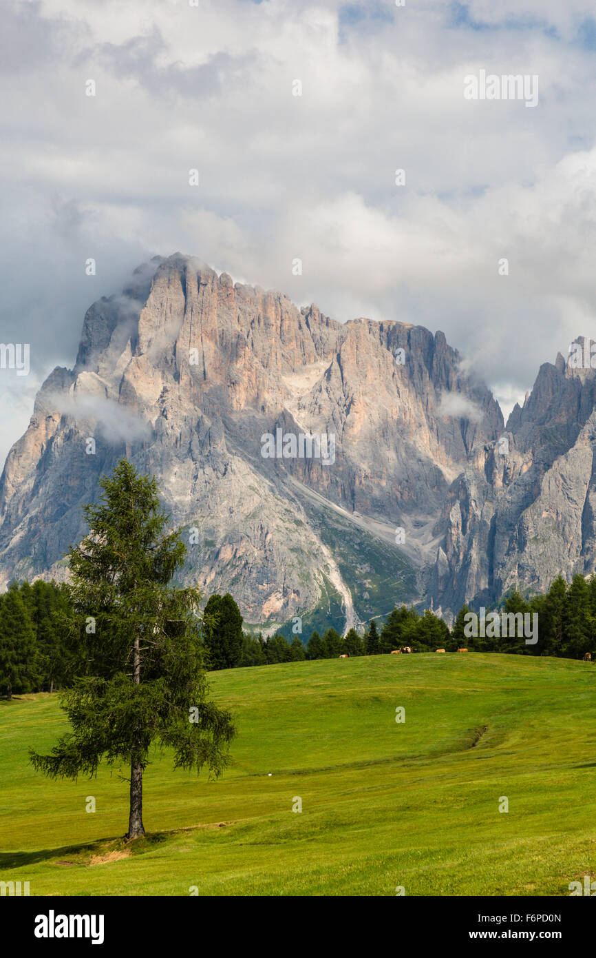 Berlin, Langkofel, la montagne, la montagne Dolomites, Plattkofel Naturpark Schlern Rosengarten, Tyrol du Sud, Italie Banque D'Images