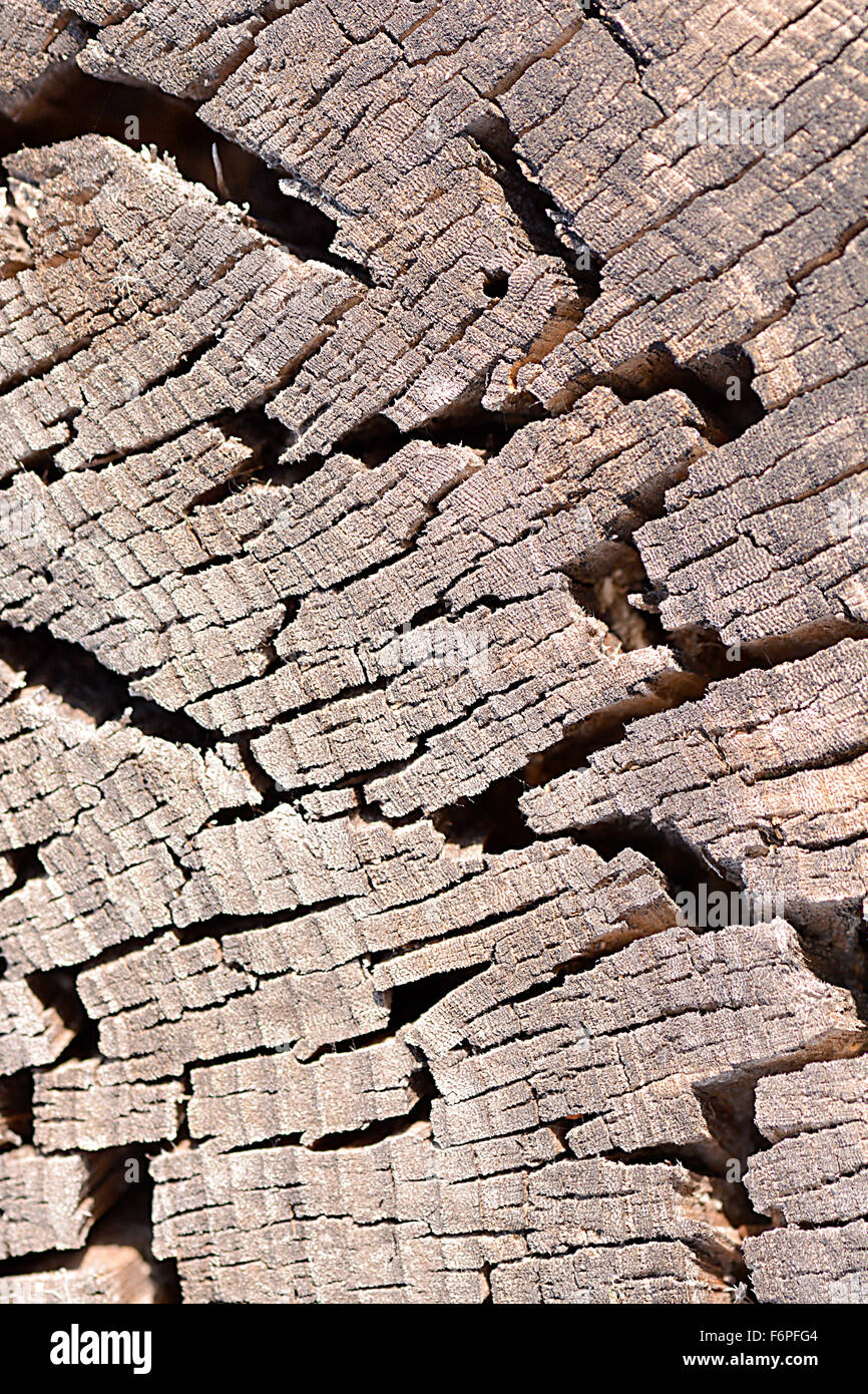 Vieux bois texture plaque ou l'arrière-plan Banque D'Images