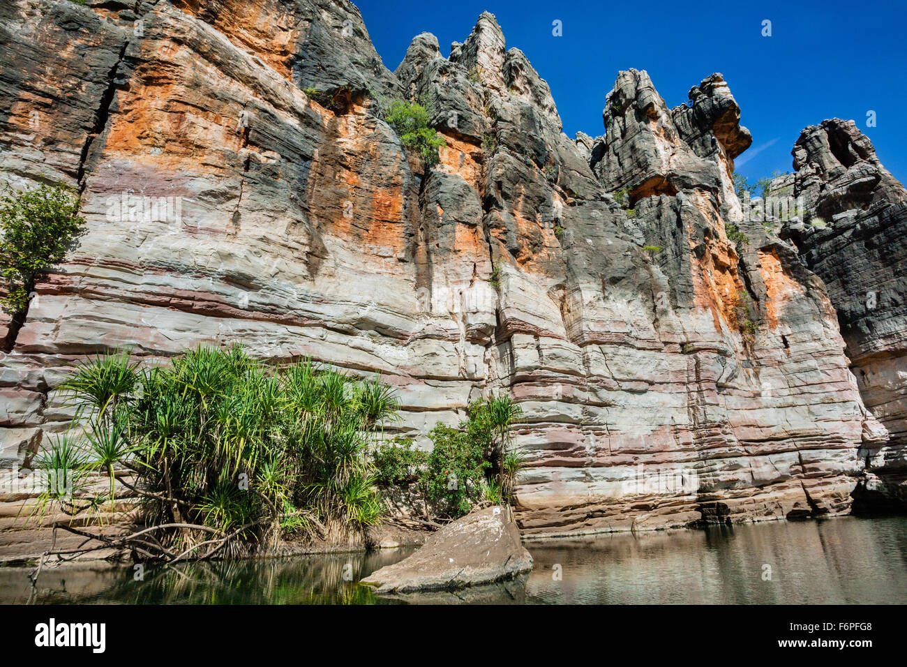 L'Australie, Australie occidentale, Kimberley, rue Geikie Gorge National Park, récifs fossilisés gorge formée par la rivière Fitzroy Banque D'Images