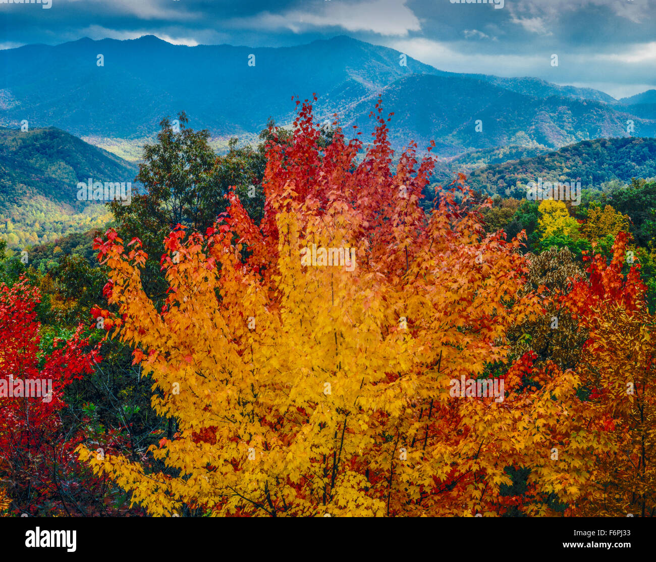 Great Smoky Mountains, New Jersey, le Mont Le Conte, les Appalaches Octobre Banque D'Images