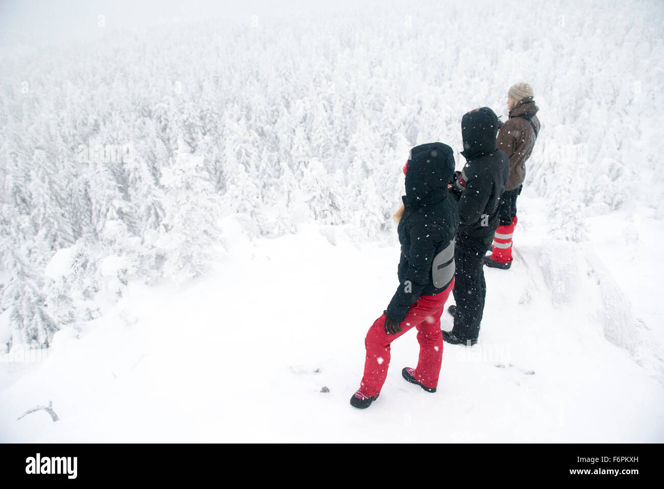 Caucasian randonneurs sur la montagne d'admirer la forêt enneigée Banque D'Images