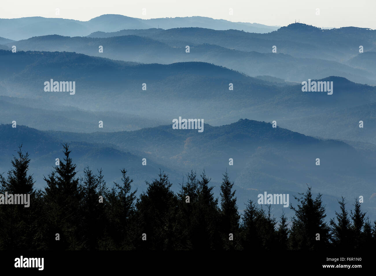 Forêt et Montagne dans le brouillard. Parc Naturel du Montseny. Barcelone. Cataluña. L'Espagne. L'Europe Banque D'Images