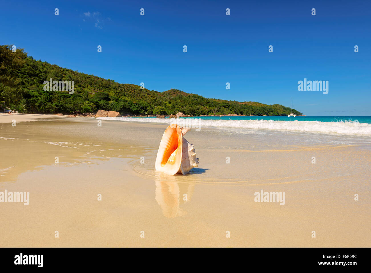 Belle vue mer sur la plage de sable de shell Banque D'Images