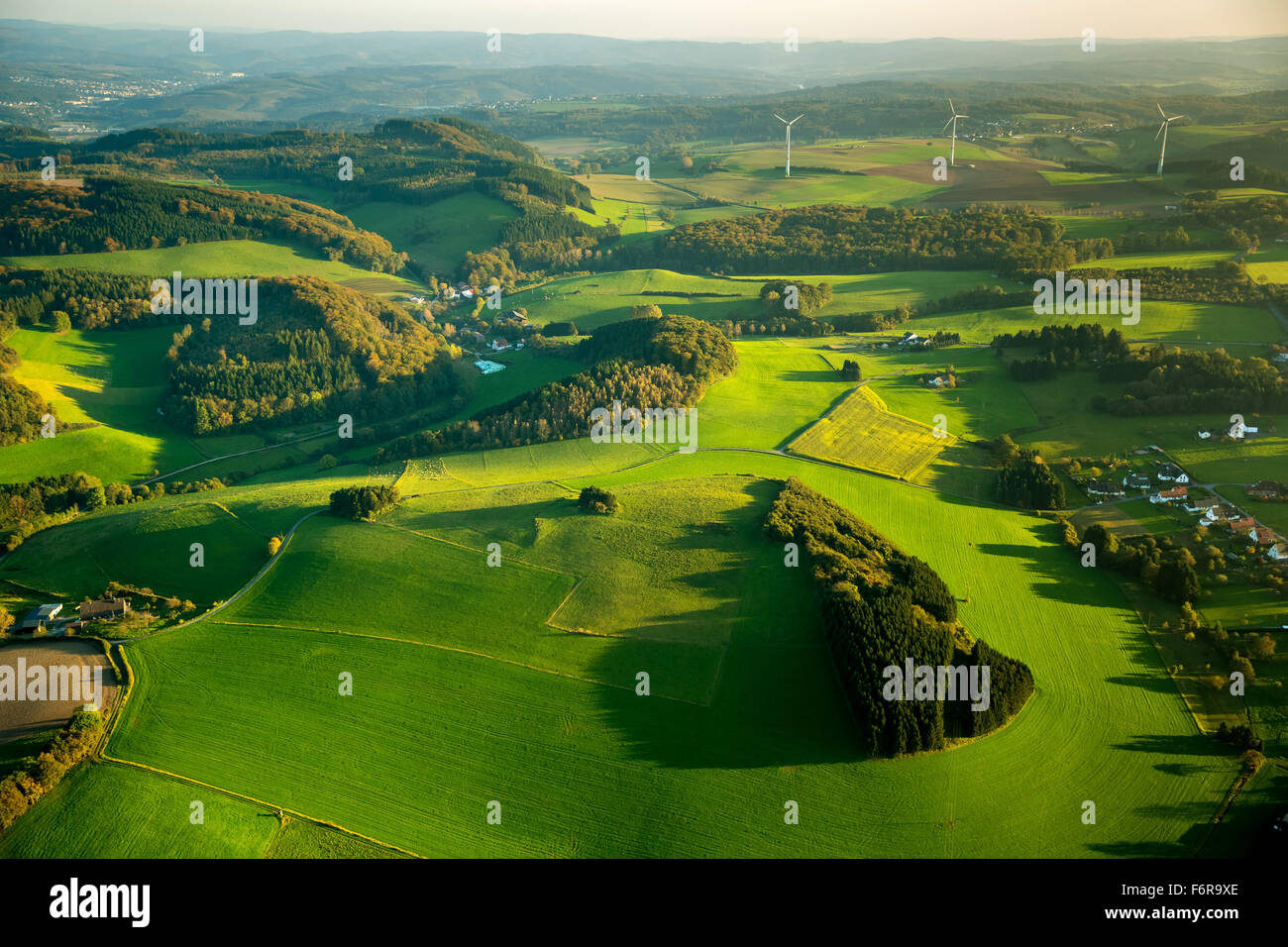 Collines avec des bouquets d'arbres dans la lumière du soir, près de Arnsberg Sauerland, Rhénanie du Nord-Westphalie, Allemagne Banque D'Images