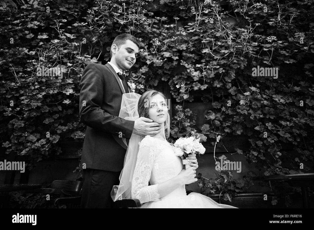 Couple de mariage vert fond brosse avec roses rouges Banque D'Images