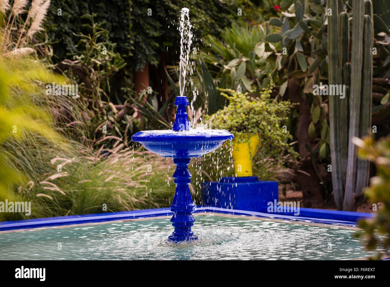 Jardin botanique Jardin Majorelle à Marrakech (Maroc) Banque D'Images