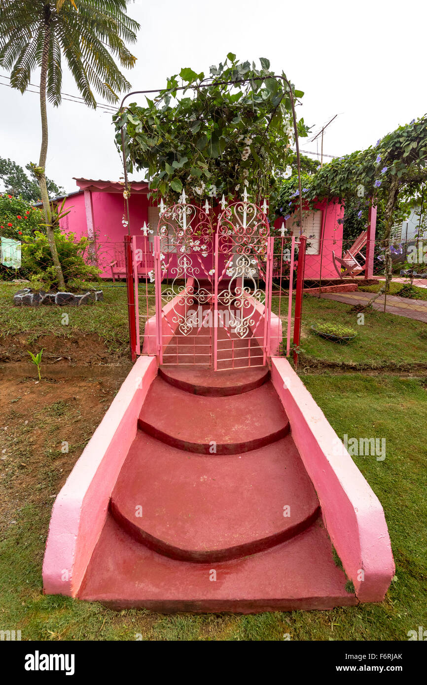 Maison rose avec des escaliers, casa particular, vivant à Cuba, El Fausto Tata, Viñales, Cuba, Pinar del Río, Cuba Banque D'Images