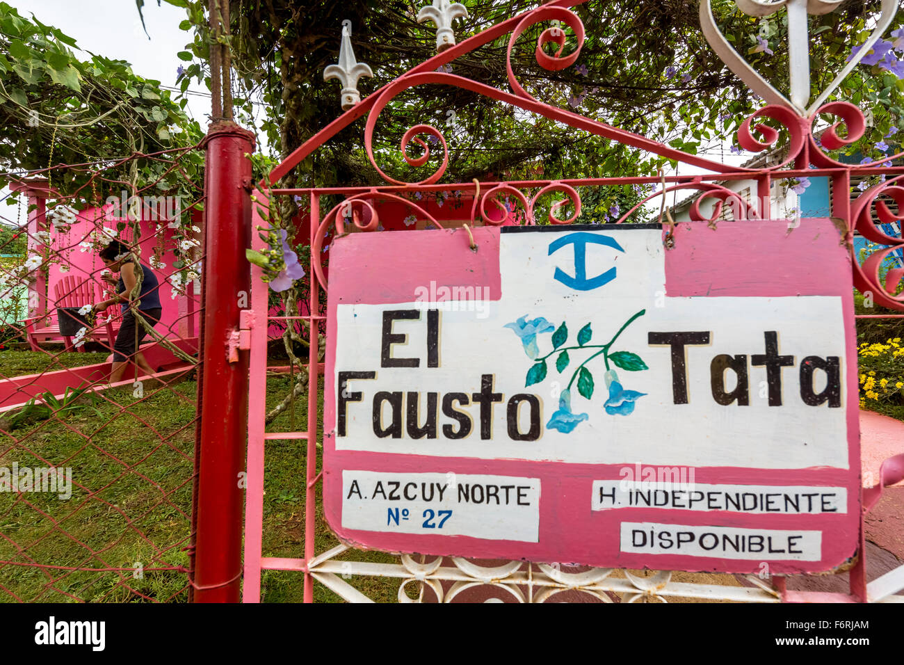 Pink House, casa particular, vivant à Cuba, El Fausto Tata, Viñales, Cuba, Pinar del Río, Cuba Banque D'Images