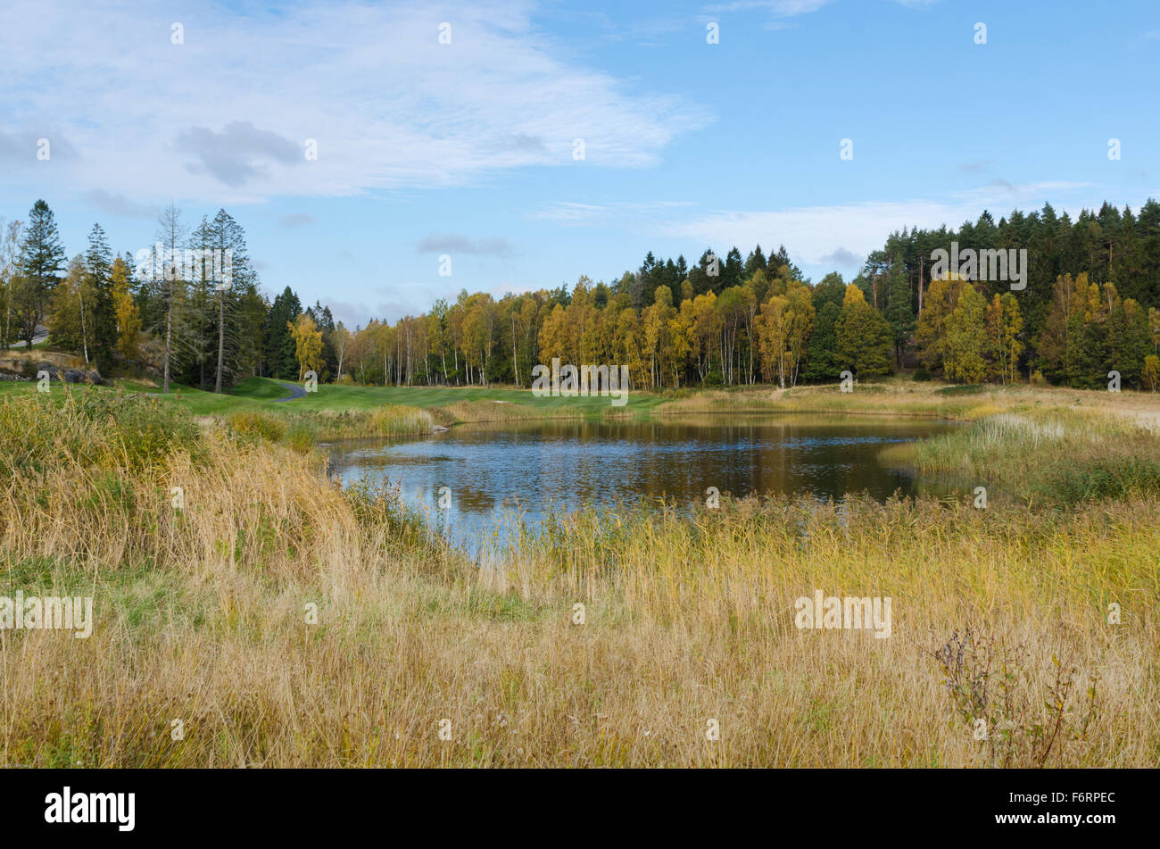 Un jour d'automne à la de la couleur est belle et le ciel est bleu Banque D'Images