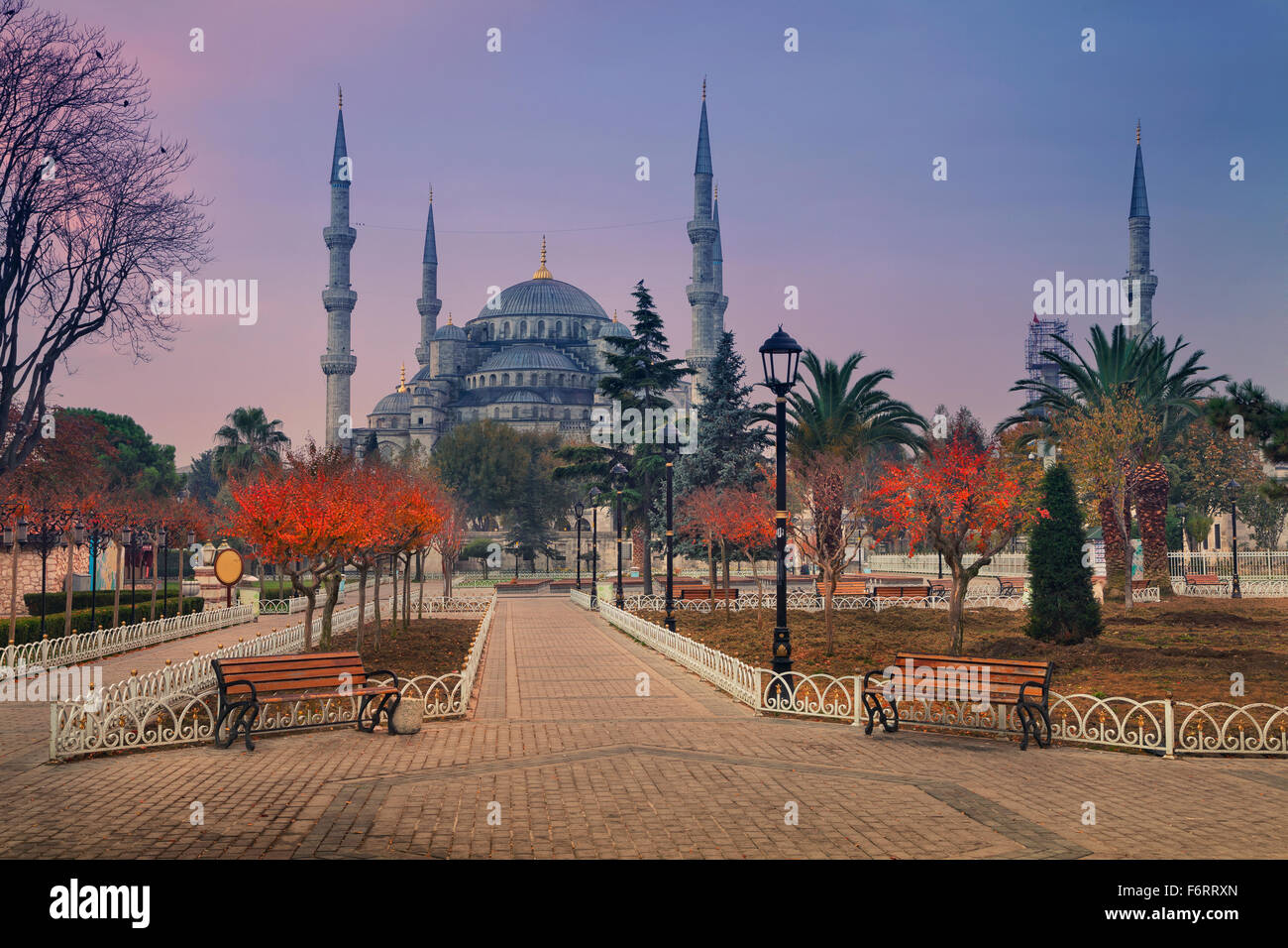 Istanbul. Image de la Mosquée Bleue à Istanbul, Turquie pendant le lever du soleil. Banque D'Images