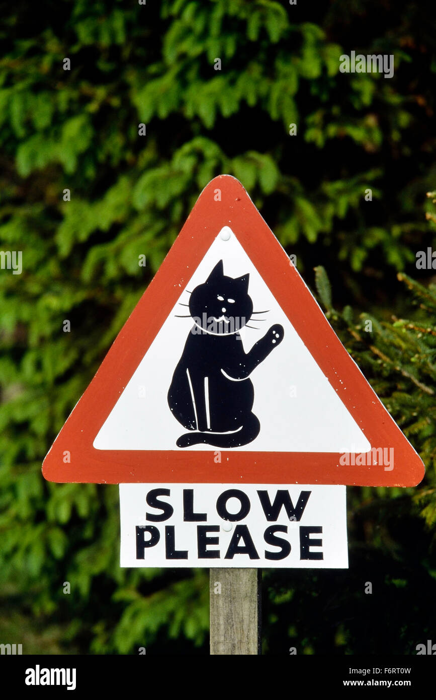 https://c8.alamy.com/compfr/f6rt0w/ralentir-pour-les-chats-road-panneau-d-avertissement-uk-f6rt0w.jpg