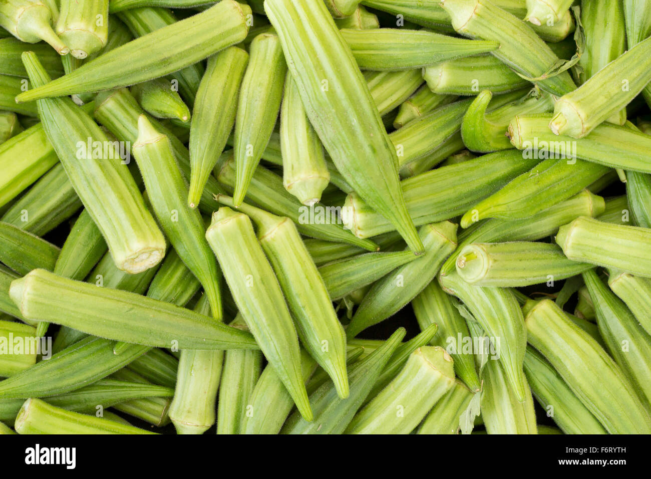 Pile de l'okra mûres pour la vente au marché de producteurs locaux Banque D'Images