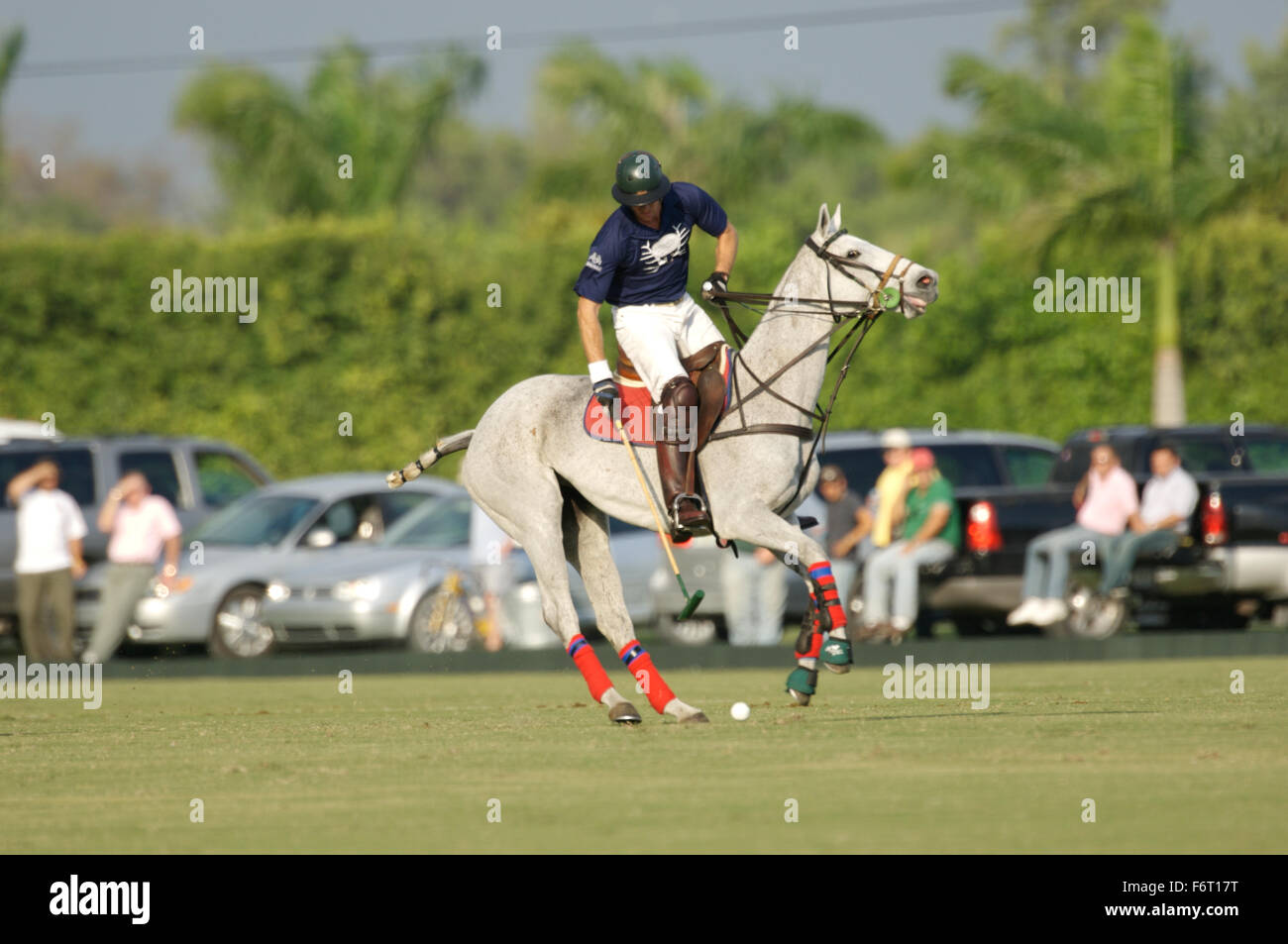 Julio Arellano - Skeeterville, Joe Barry Memorial Cup, International Polo Club, Palm Beach en Floride, le 22 janvier 2007 Banque D'Images