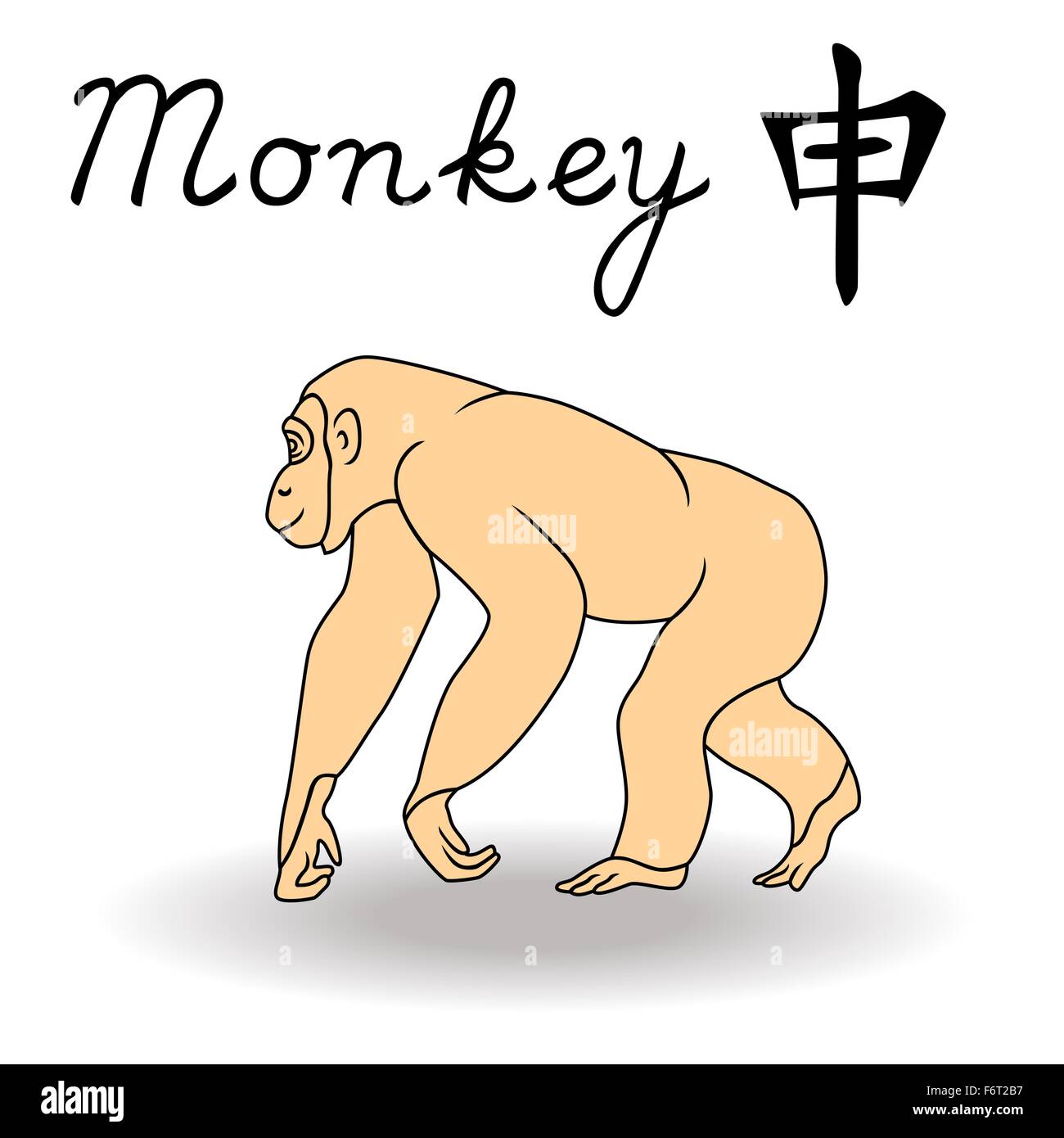 L'Est de signe de zodiaque singe, symbole de la nouvelle année dans le calendrier chinois, à la main des illustrations vectorielles isolé sur fond blanc Illustration de Vecteur