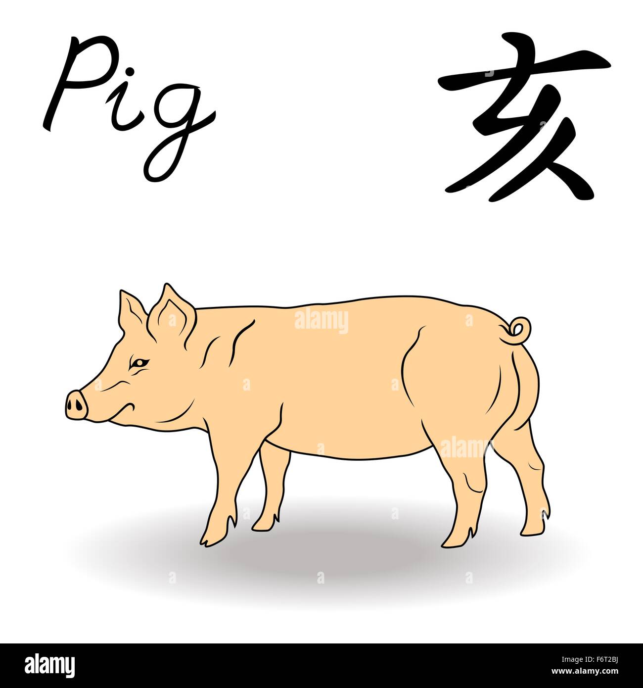 L'Est de signe de zodiaque cochon, symbole de la nouvelle année dans le calendrier chinois, à la main des illustrations vectorielles isolé sur fond blanc Illustration de Vecteur