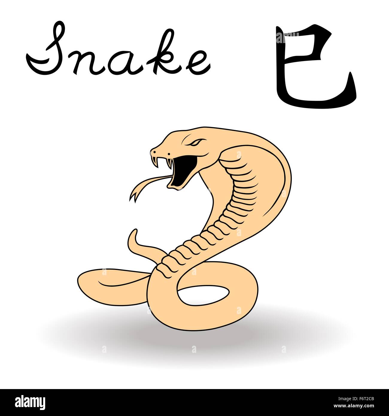 L'Est de signe de zodiaque serpent, symbole de la nouvelle année dans le calendrier chinois, à la main des illustrations vectorielles isolé sur fond blanc Illustration de Vecteur