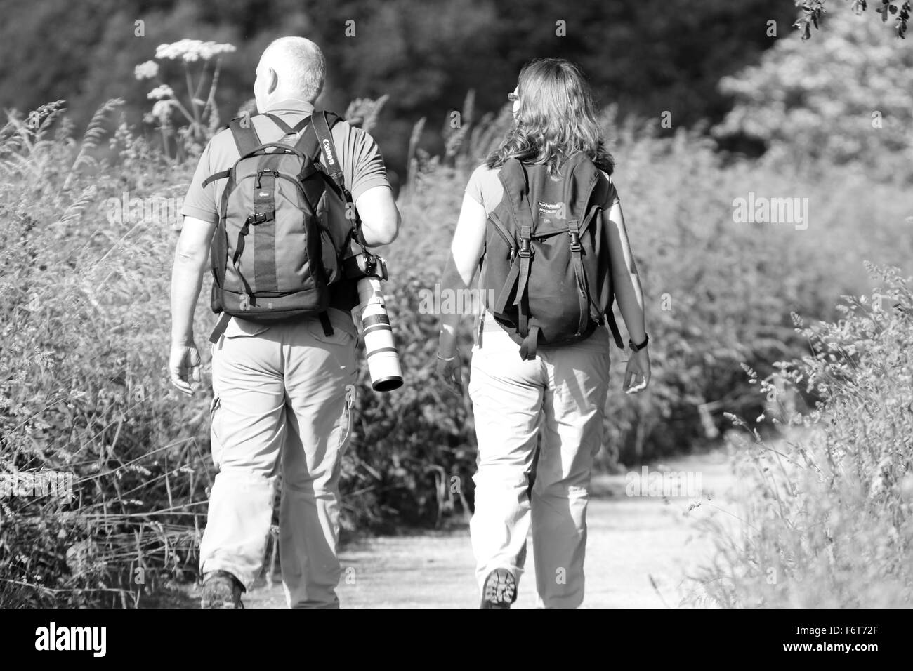 Un couple couple d'âge randonnées avec un gros appareil photo sur le Somerset Levels, près de la réserve naturelle de la paroi de Jambon Banque D'Images