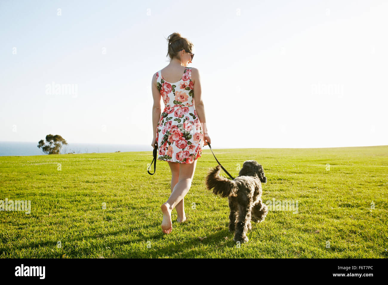 Caucasian woman walking dog in field Banque D'Images