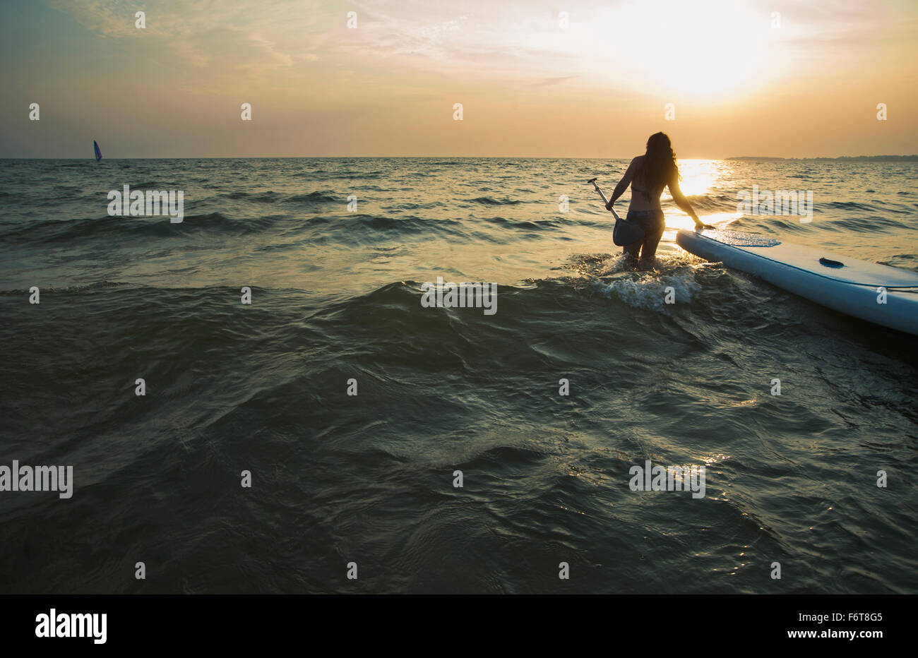 Woman pulling paddleboard dans le lac Banque D'Images