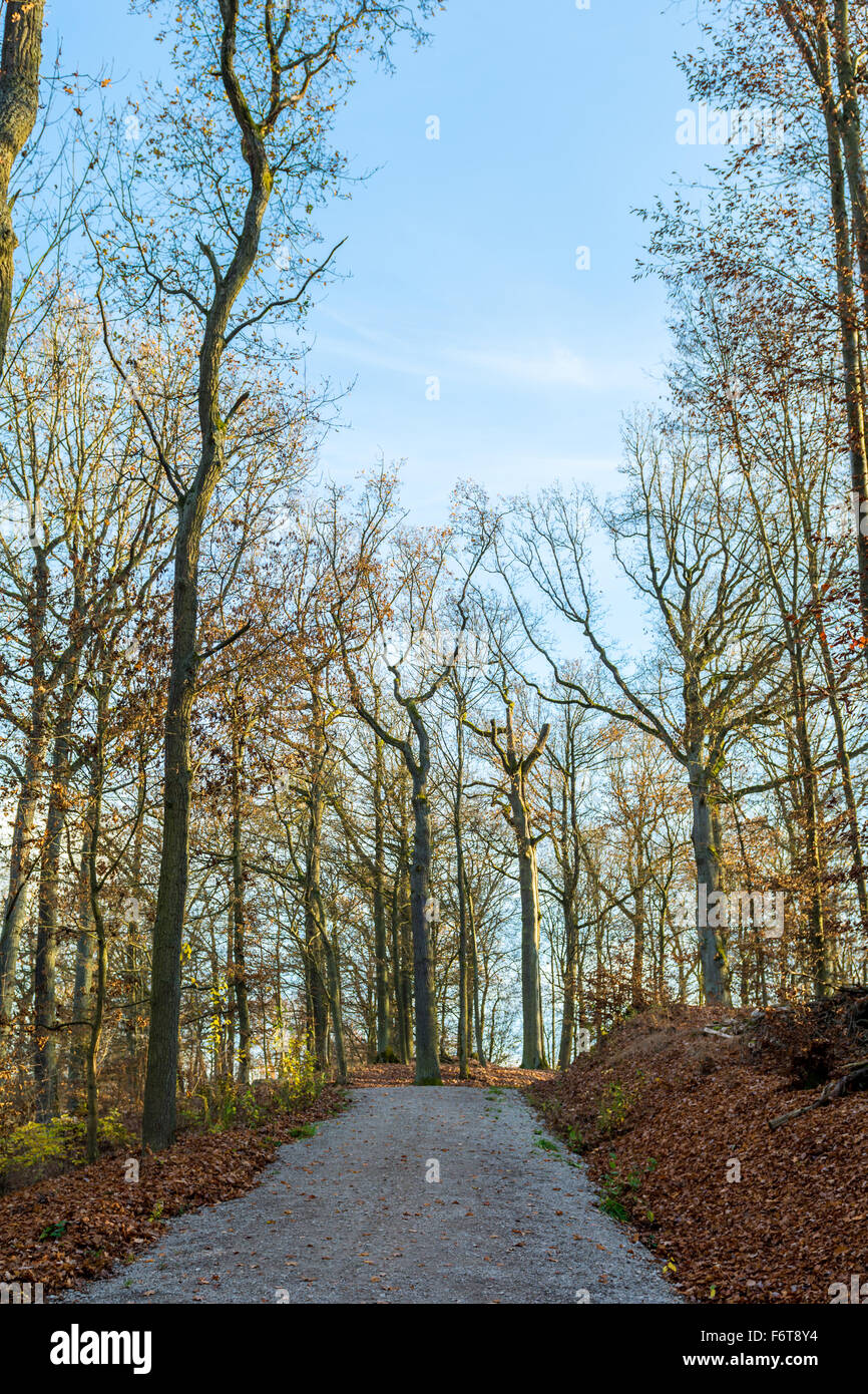 Le chemin jusqu'à l'Altenburg château à Bamberg, Allemagne pendant aux couleurs de l'automne. Banque D'Images