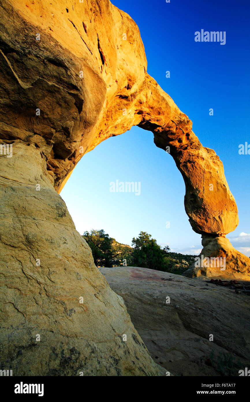 Arch Anasazi, le Bureau of Land Management (BLM) terres situées près de Aztec, Nouveau Mexique, USA Banque D'Images