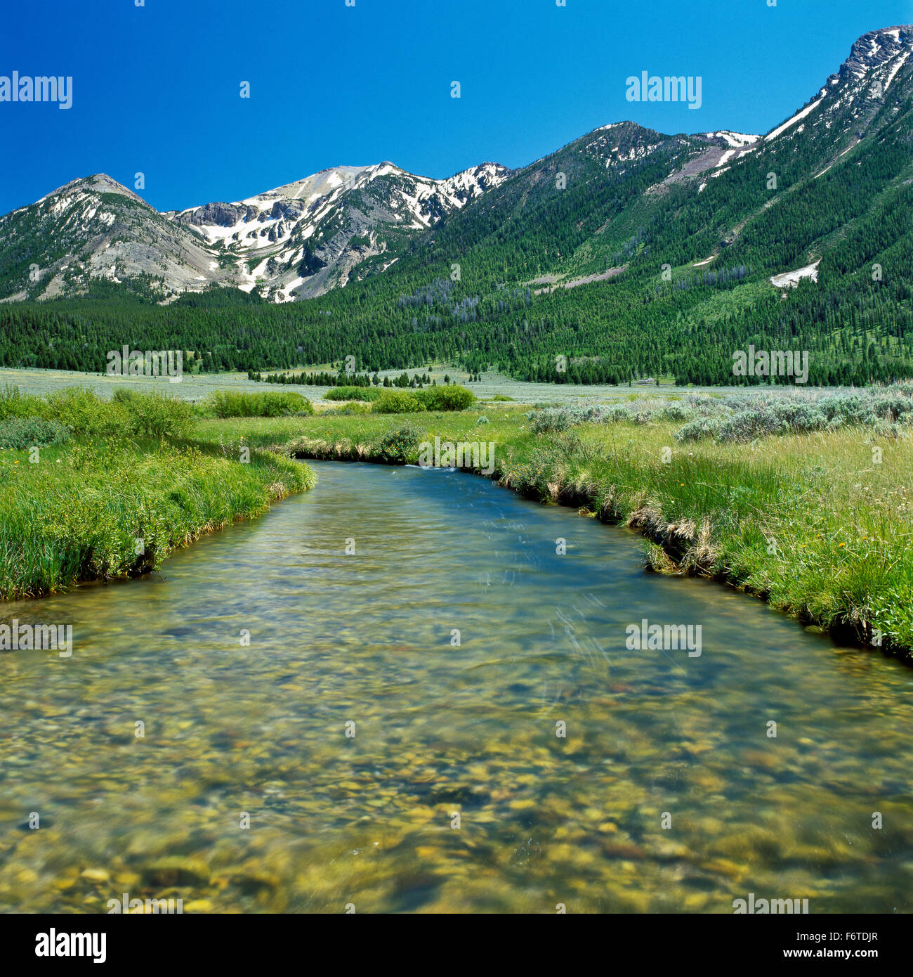 L'enfer de roaring creek (cours supérieur de la rivière Missouri) ci-dessous les montagnes du centenaire au red rock pass près de Lakeview, Montana Banque D'Images
