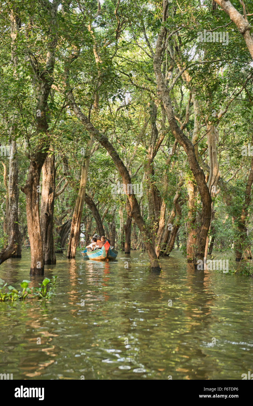 Mangove forêt de Kampong Phluk près de Siem Reap, Cambodge Banque D'Images